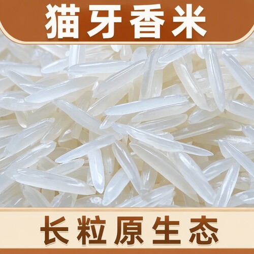 猫牙香米20斤新米|超3700人收藏