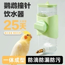 鹦鹉饮水器专用鸟用撞针自动喂水器大容量玄凤水壶虎皮喝水神器