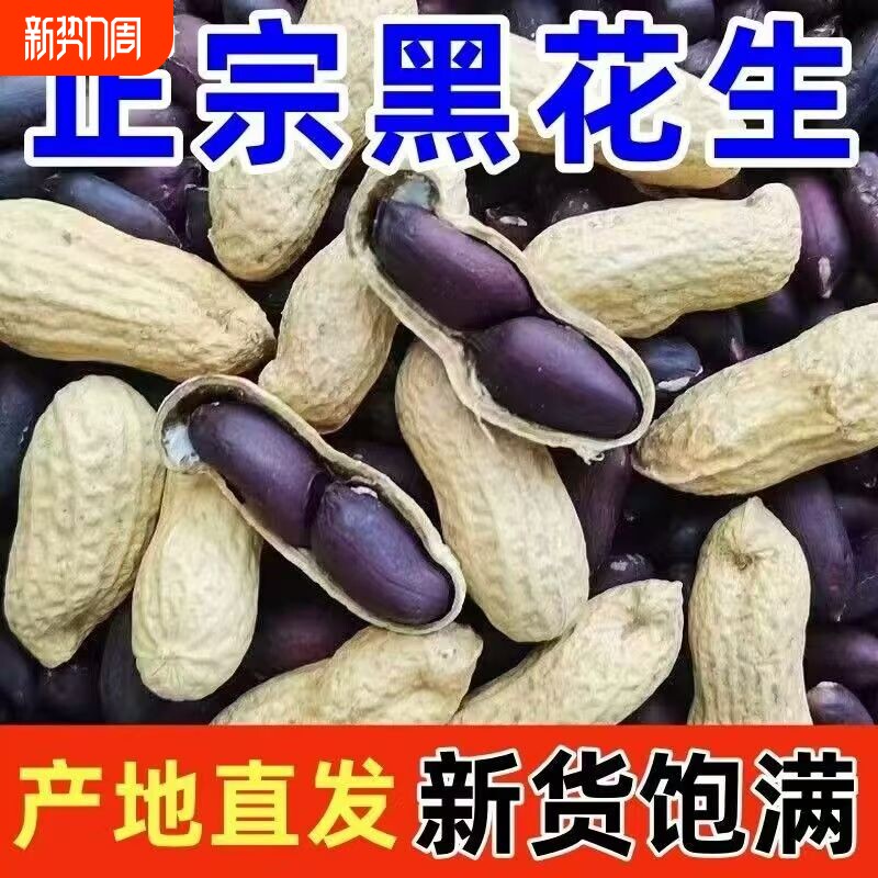2025富硒黑皮花生黑花生纯黑带壳特产自然晒干杂粮新货年货节紫皮