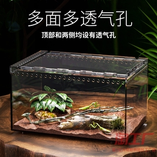 树栖箱全景爬虫缸蜥蜴睫角守宫独角仙蜘蛛蛇蜗牛巴西龟甲虫饲养盒