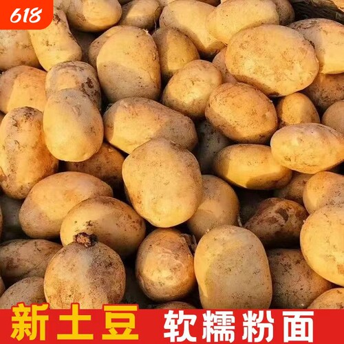 新鲜土豆黄皮黄心土豆