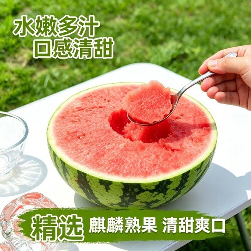 正宗冰糖麒麟西瓜脆甜西瓜新鲜水果应季夏日解暑必备薄皮现摘甜蜜