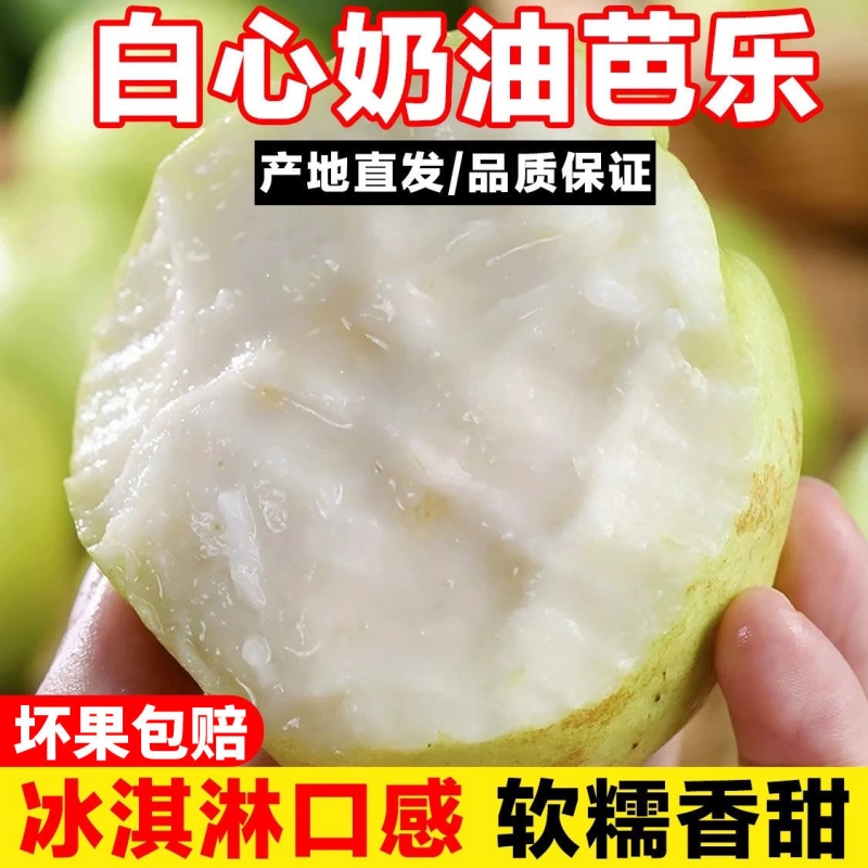 【精选】高山芭乐软心番石榴白心新鲜鸡屎果产地现摘应季水果软硬