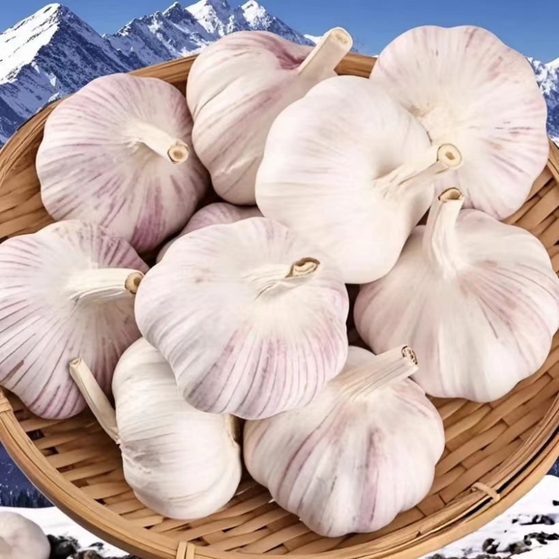 冲量价金乡紫白皮大蒜大蒜头干蒜新鲜山东农家优质批发价食用