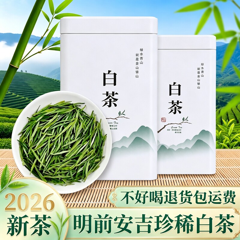 珍稀白茶安吉2026年新茶正宗高山绿茶礼盒装明前自己喝冷泡口粮茶图片