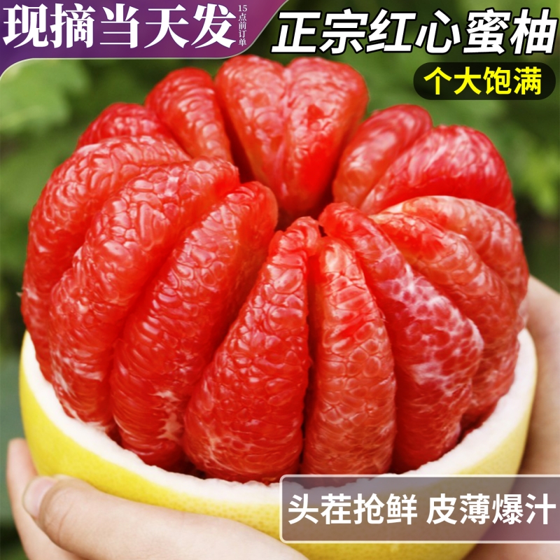 正宗5斤 红心蜜柚当季新鲜平和红肉柚子三红葡萄柚子水果整箱包邮