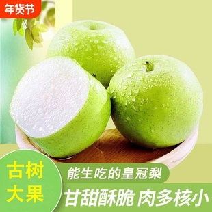 正宗皇冠梨砀山青梨9斤当季新鲜水果翠冠梨蜜早雪梨青皮梨子特产