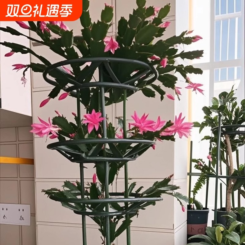 花卉支架蟹爪兰花架昙花支架开口支架花卉爬藤架支撑架通用花架