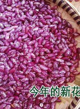 贵州特产四季豆干货贵州红豆米