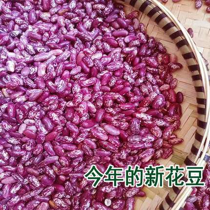 花豆贵州特产四季豆干货贵州红豆菜豆米红饭豆红花芸豆豆米新花
