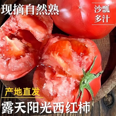 新鲜西红柿5斤番茄现摘自然熟新鲜蔬菜薄皮肉厚番茄新鲜蔬菜包邮