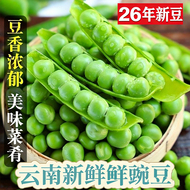 云南高山新鲜豌豆荚当季现摘甜脆水果青豆农家自种蔬菜带壳豌豆粒