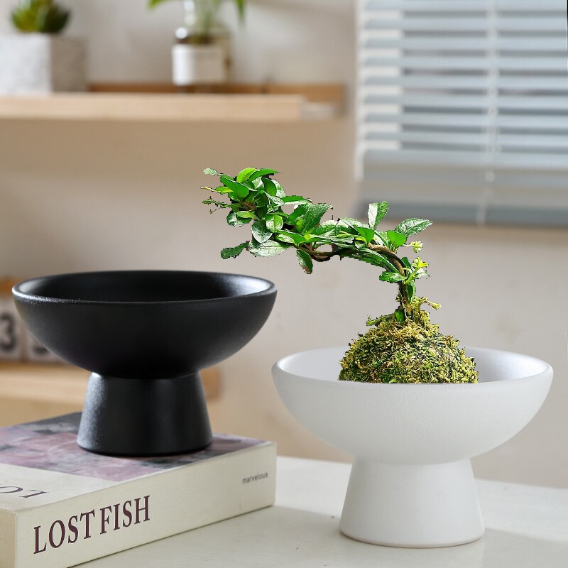 苔藓球花盆陶瓷盆托盘中式桌面摆件水培米竹苔藓球水培器皿盆托