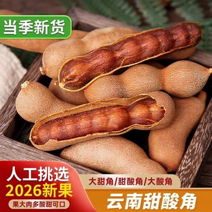 酸角云南特产新鲜大甜角甜酸角孕妇零食水果豆角罗望子酸甜好吃