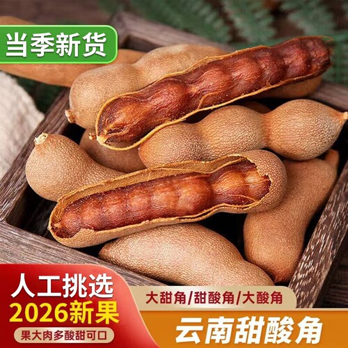 酸角云南特产新鲜大甜角