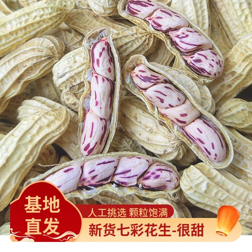 云南七彩花生自然晒干五彩花生