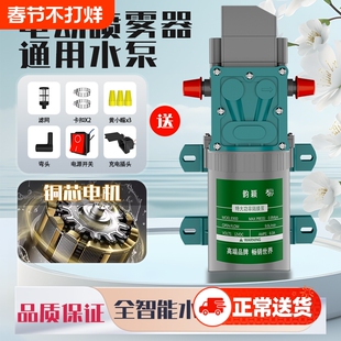 电动喷雾器高压泵12v电机马达配件大全打药机大功率水泵隔膜泵