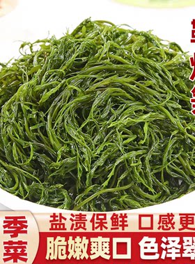 鞭炮笋马尾藻海藻长寿菜羊栖菜海带海菜火锅食材凉拌海草新鲜凉菜