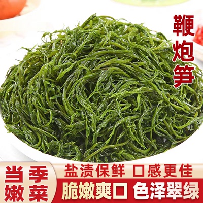 鞭炮笋马尾藻海藻长寿菜羊栖菜海带海菜火锅食材凉拌海草新鲜凉菜
