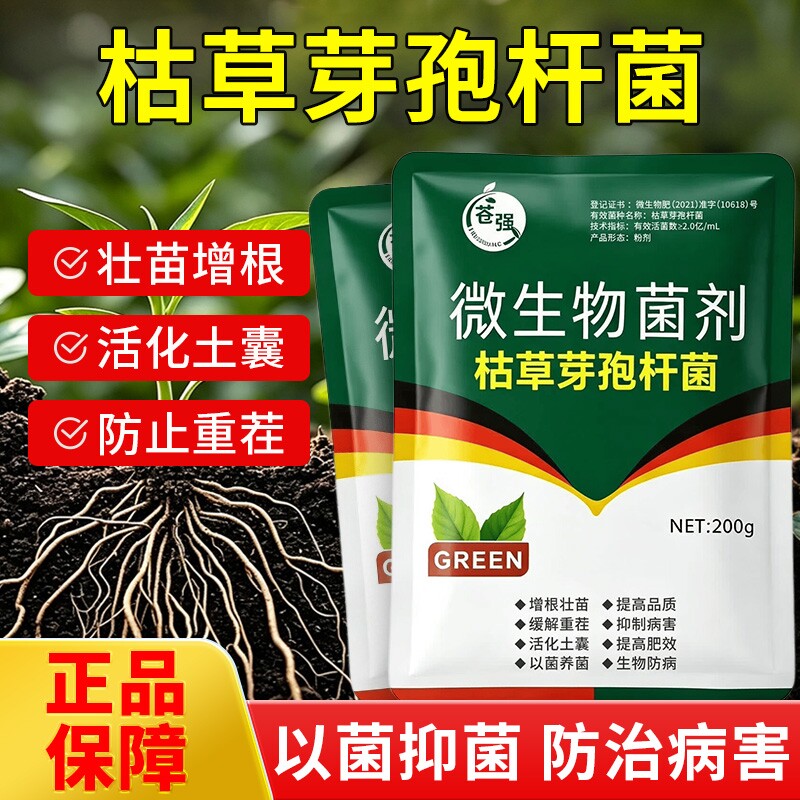 枯草芽孢菌杆菌农用微生物菌肥菌剂菌种肥料土壤植物蔬菜种菜育苗