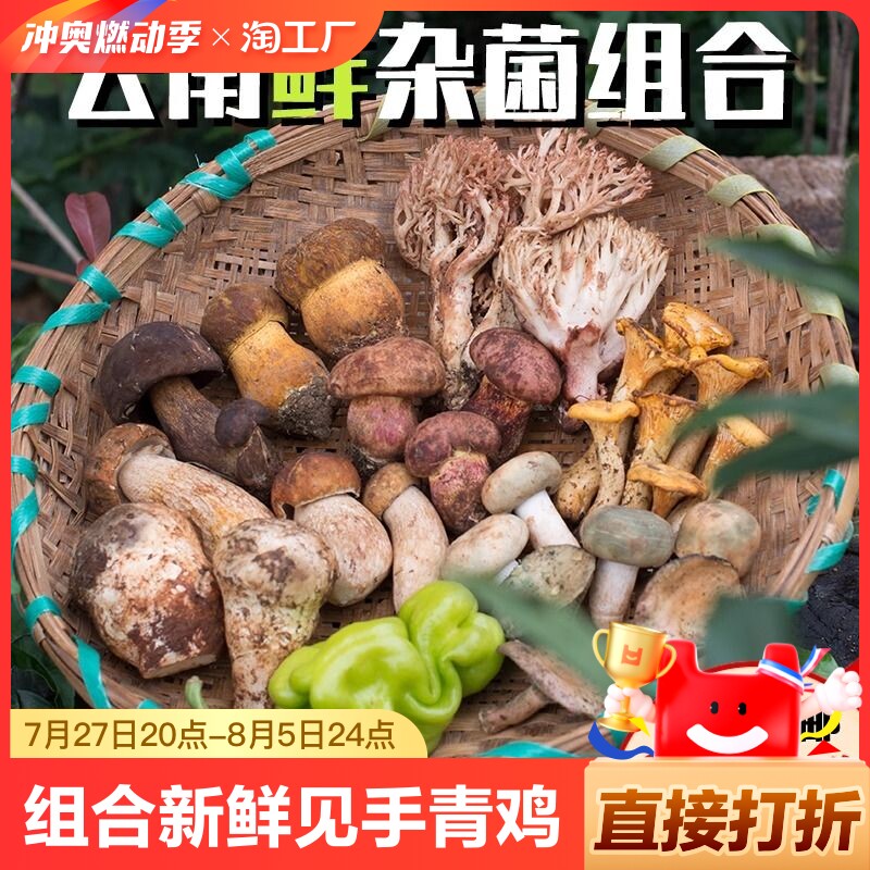 云南野生菌组合新鲜杂菌见手青鸡纵松茸青头菌蘑菇牛肝菌菌子火锅