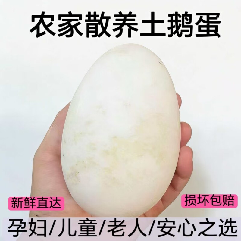 新鲜散养土鹅蛋现捡现发天然健康正宗农家自养孕妇儿童老人营养蛋