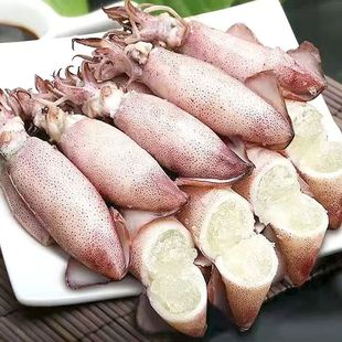 满籽海兔子鲜活冷冻新鲜笔管鱼满籽海兔全籽墨鱼仔小鱿鱼带籽籽乌
