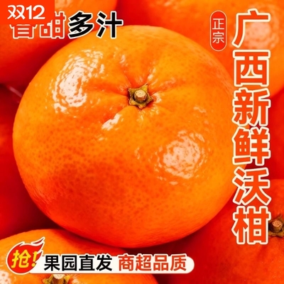 正宗广西沃柑新鲜当季水果整箱10现摘斤沙糖蜜橘砂糖柑橘桔子橘
