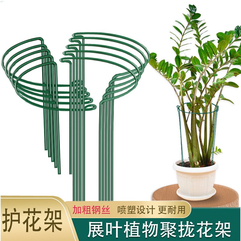 花支撑架金钱树植物花支架花架支撑杆花卉龟背竹防倒伏虎皮兰护花图片