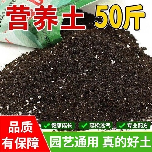 50斤通用型营养土养花种菜花卉盆栽专用土壤大包有机肥料土壤花泥