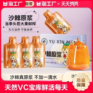 鲜果生榨沙棘油vc小果汁100新疆果源桑葚 沙棘原浆官方旗舰店正品