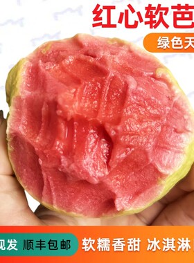 广西草莓红心芭乐软心红心奶油
