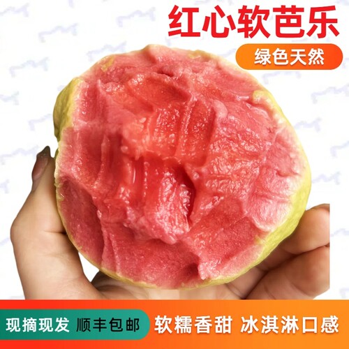广西草莓红心芭乐软心红心奶油