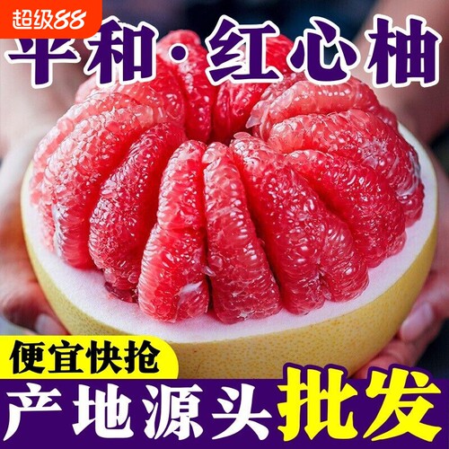 红心蜜柚福建三红柚子8.5斤新鲜当季甜水果西柚红肉大果福建平和