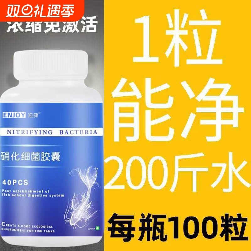 硝化细菌鱼缸用水族箱硝化菌胶囊消化干粉龙鱼专用活菌锦鲤净水剂