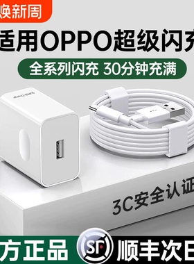 120W超级闪充头适用oppo充电器原封Reno4567pro手机快充FindX2X3正品80W真我GTNeo2T数据线typec套装65W协议