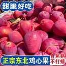正宗东北鸡心果山地小苹果当季 沙果新鲜孕妇水果锦绣海棠 应季