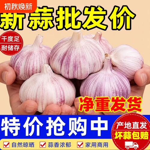 2026年新干蒜5斤大蒜头超大果干蒜大蒜头当季新鲜干蒜起包邮