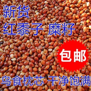【批发】红黍子糜子枕芯鸟粮鸟食鸟料鹦鹉虎皮玄凤牡丹红谷子带壳