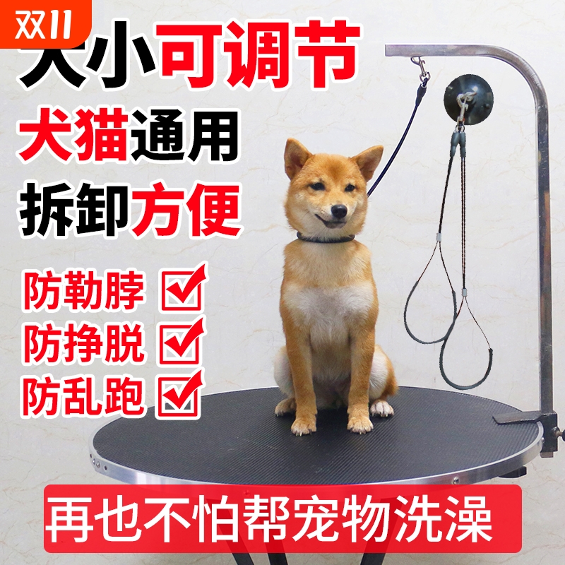 猫咪防跑绳狗狗猫猫洗澡固定器宠物美容桌吊绳子吸盘挂绳钢丝浴室