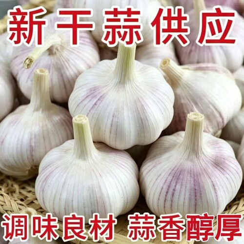 自然嗮干大蒜农家自种蒜香十足