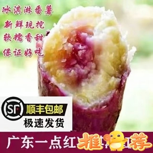 春节正常发货新鲜南沙一点红番薯现挖农家自种花心板栗薯10斤地瓜