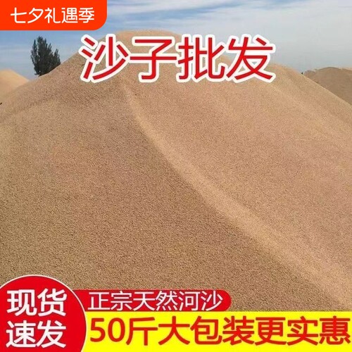 天然河沙细沙沙子黄沙沙土粗沙砂土壤种植实验填充鱼缸种菜营养土
