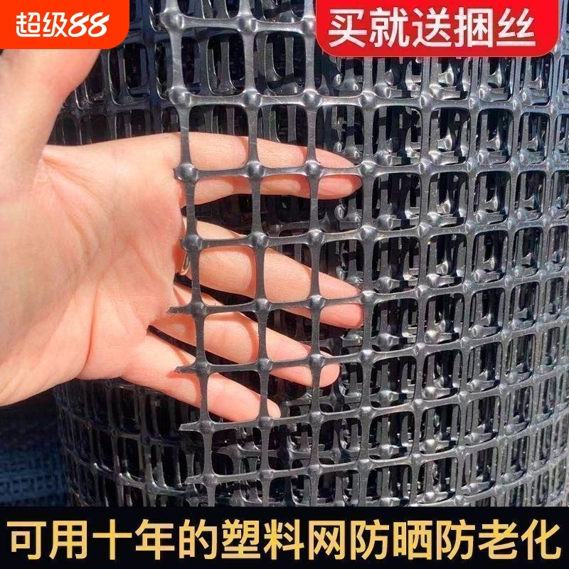 玉米网防护果园隔离网围栏栅栏