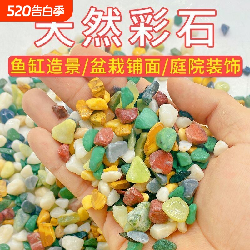 天然五彩花石白石子多肉铺面鱼缸造景花盆花载卉装饰庭院彩石盆栽