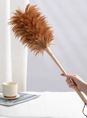 真鸡毛掸子家用摆件除尘车用扫灰