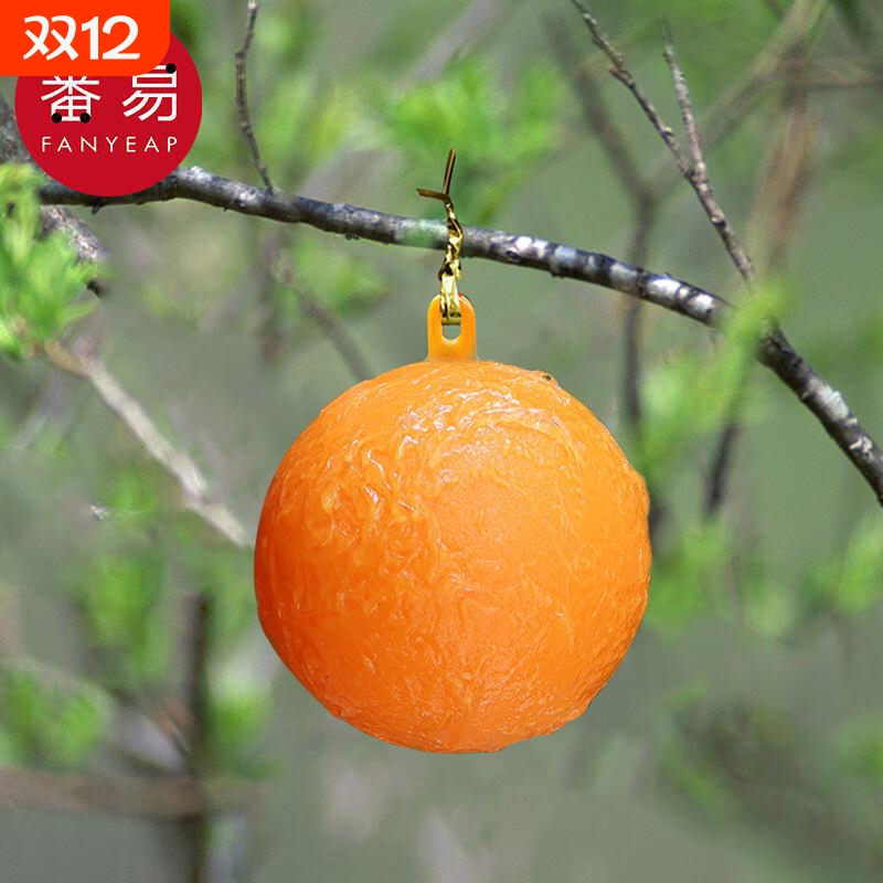 粘虫球/诱蝇B1pf0-果蝇诱捕器小飞虫球灭杀诱苍蝇厨房室内诱虫