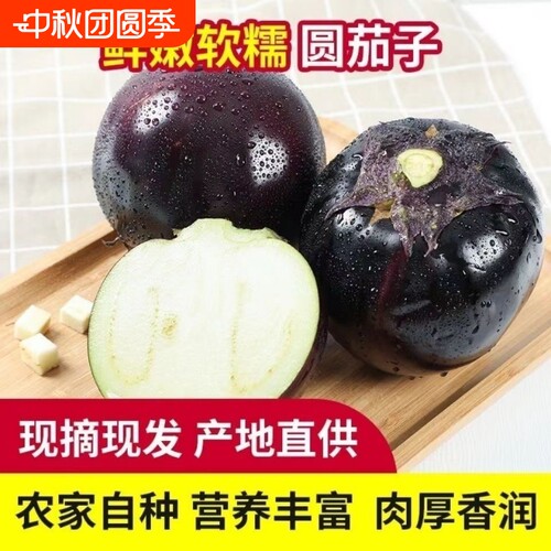 山东圆茄子圆茄当季茄子批发现摘现发农家蔬菜整箱新鲜自种鲜嫩