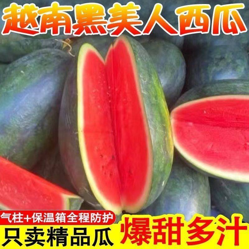 越南黑美人西瓜正宗甜非麒麟瓜当季新鲜水果越南进口西瓜包熟包甜,水产肉类/新鲜蔬果/熟食,西瓜,淘宝优惠券,粉丝福利购,淘宝优惠卷