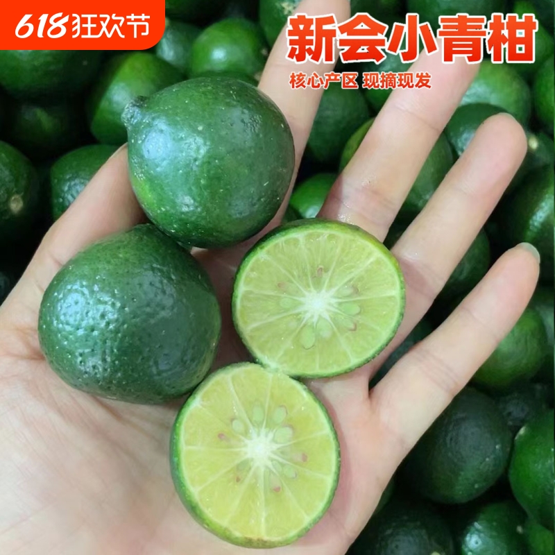 新会小青柑鲜果小金桔新鲜水果金桔柠檬奶茶店专用小青柠青桔金橘